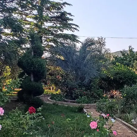 Appartamento Olive Island *