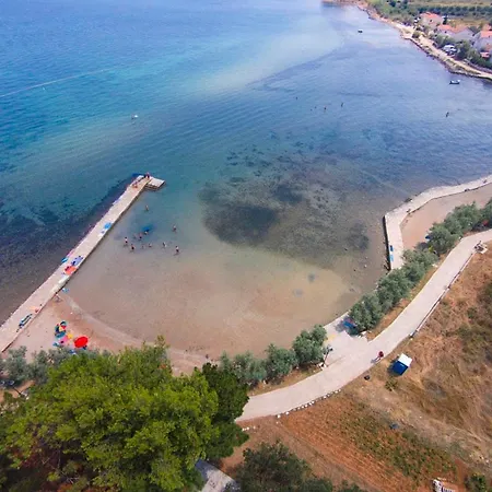 Olive Island *