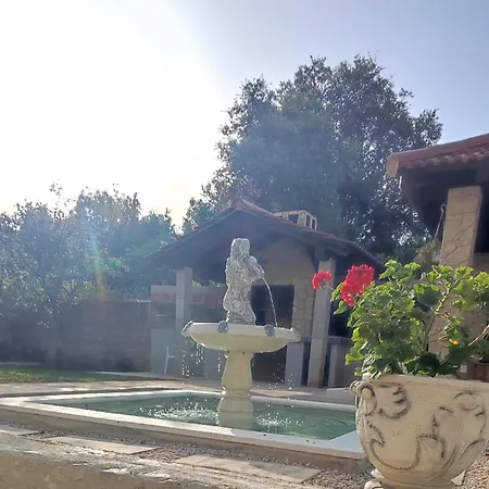 Olive Island Neviđane