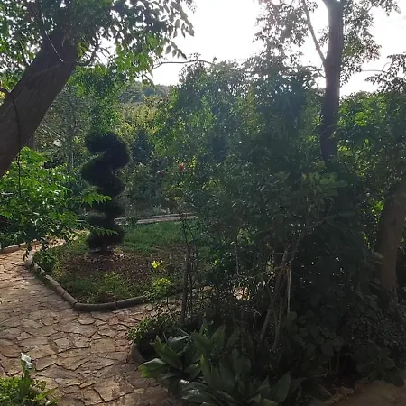 Apartmán Olive Island Neviđane