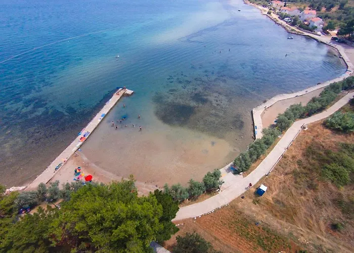 Olive Island *