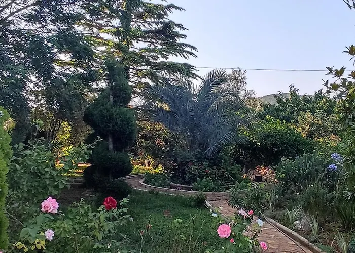 아파트 Olive Island *