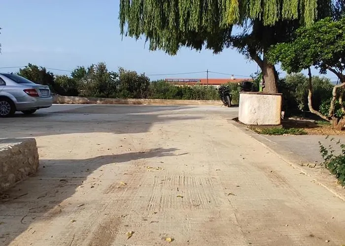 Olive Island Neviđane