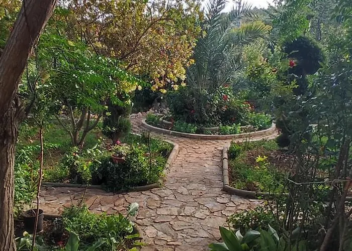 Olive Island 아파트 Neviđane