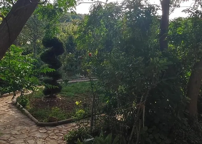 아파트 Olive Island Neviđane